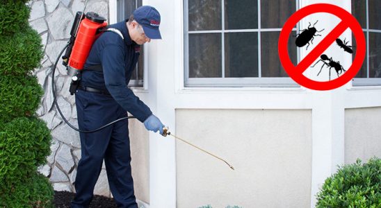 Bodrum Bit İlaçlama böcek ilaçlama ve haşere kontrolü — ilaclama-tr.com